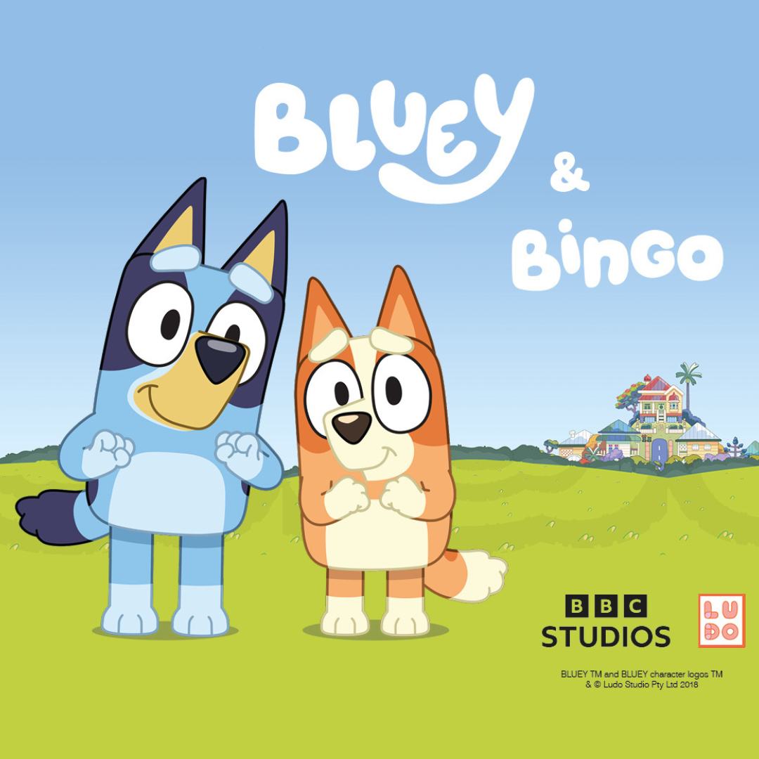 Bluey and Bingo